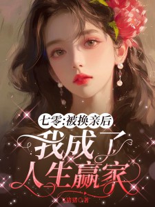 无删减小说《姻缘一换，人生璀璨》江婉陆子豪在线免费阅读